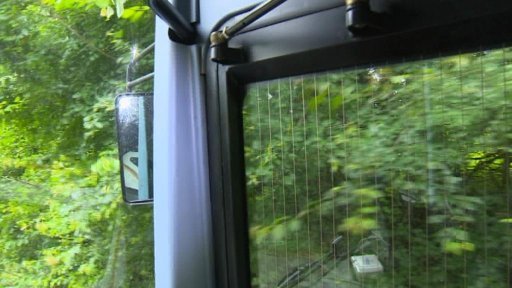 Větve stromů na trase Údlice-Velemyšleves na Chomutovsku zasahují do silnice