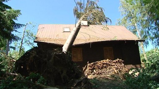 Královéhradecké městské lesy před rokem ničila větrná smršť