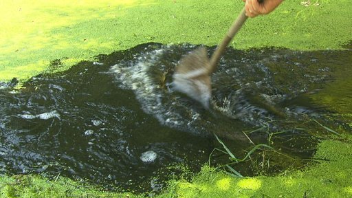 Několik chatařů v Mlékojedech se stále nemůže zbavit spodní vody, která zatopila jejich pozemky