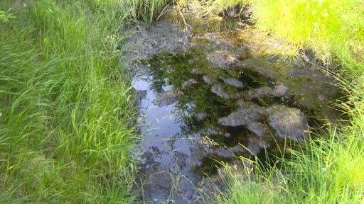 Na Cínovci byla obnovena dvě rašeliniště