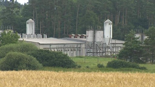 OSN chce zavřít vepřín v Letech