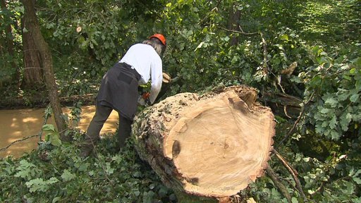 Bouřky škodily i ve středních Čechách