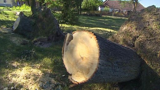 Škody po pondělní bouři v Jihočeském kraji šplhají do milionů korun