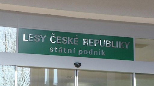 Hledá se ředitel Lesů ČR