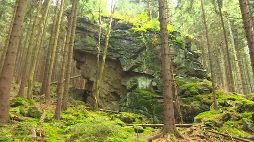 Žďárské vrchy se mají odlesňovat