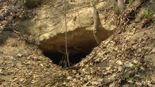 V lomu u Mělníka hnízdí netopýři, nesmí se proto zlikvidovat