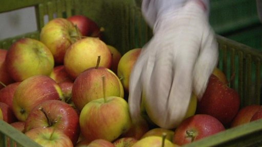 Předražená jablka v supermarketech
