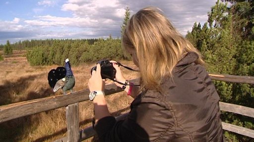 Parky bilancují letní sezonu