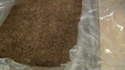 Policie a celníci odhalili nelegální obchod s tabákem