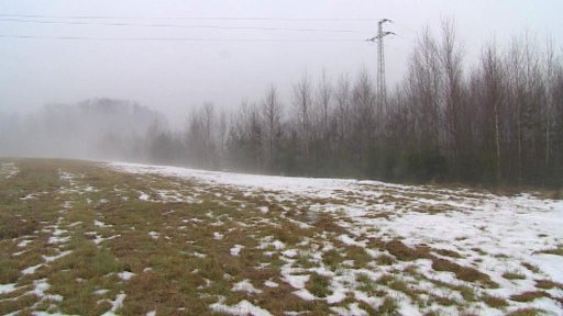 Byty místo chřástala, kterého nikdo neviděl