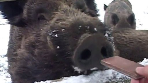 Procházka Klopotovským údolím