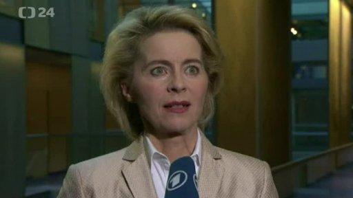 Německá velká koalice