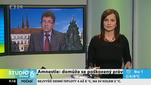 Amnestie: domůže se poškozený práv?
