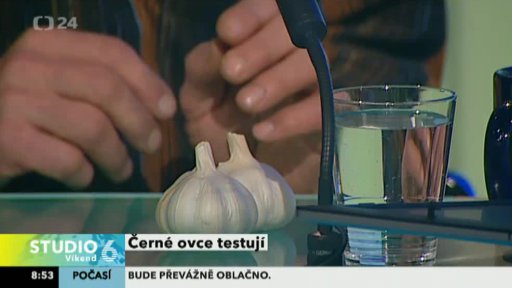 Černé ovce testují česnek