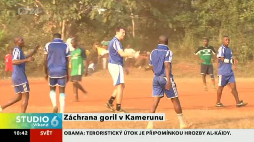 Záchrana goril v Kamerunu