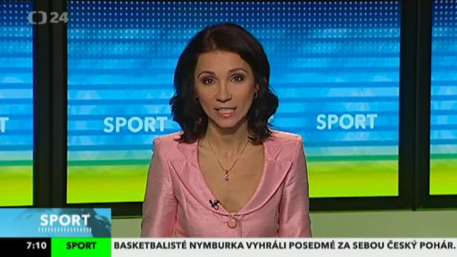 Zpravodajský servis