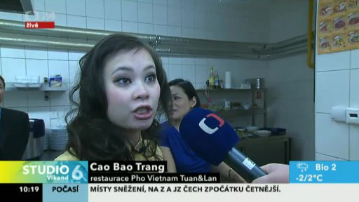 Oslavy nového roku hada