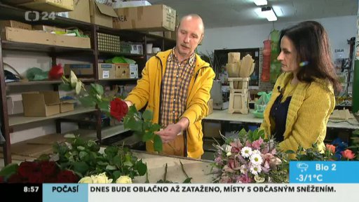 Černé ovce testují řezané květiny