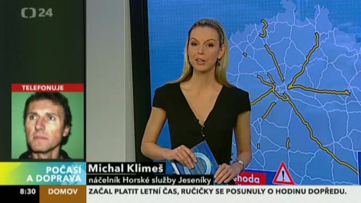 Zpravodajský servis