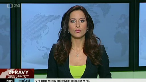 Zpravodajský servis