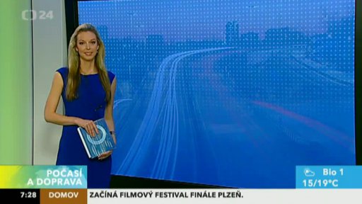 Zpravodajský servis