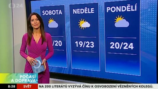 Zpravodajský servis