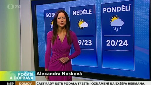 Zpravodajský servis