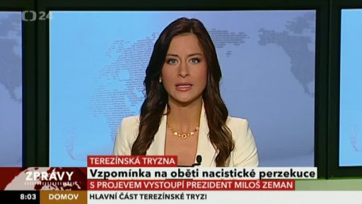 Zpravodajský servis