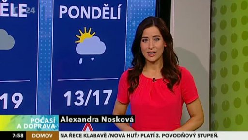 Zpravodajský servis