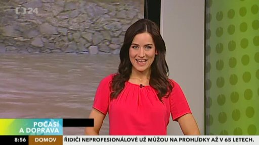 Zpravodajský servis