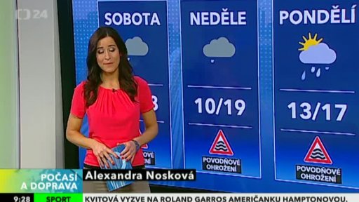 Zpravodajský servis