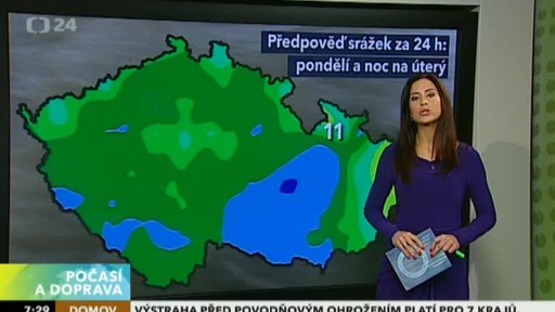 Zpravodajský servis