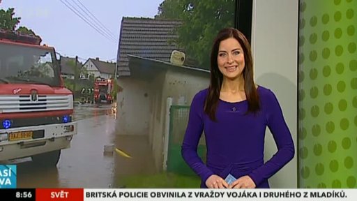 Zpravodajský servis