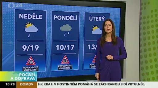 Zpravodajský servis