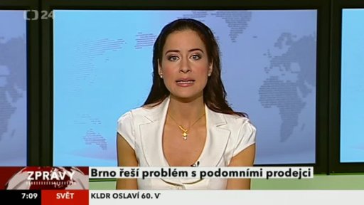 Zpravodajský servis