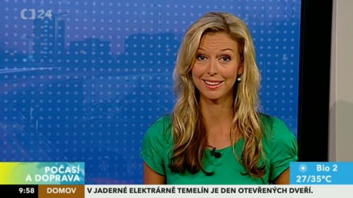 Zpravodajský servis