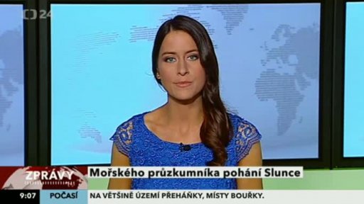 Zpravodajský servis