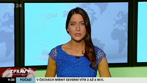 Zpravodajský servis