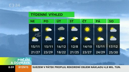 Zpravodajský servis