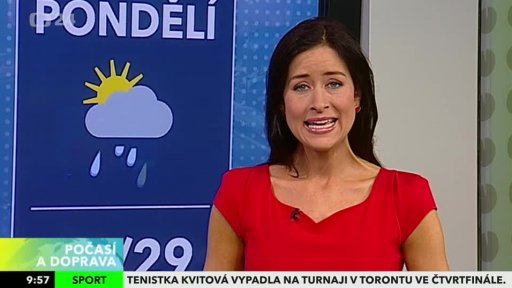 Zpravodajský servis