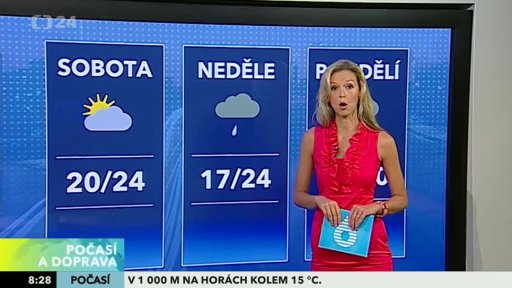 Zpravodajský servis