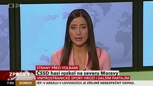 Zpravodajský servis