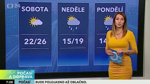 Zpravodajský servis