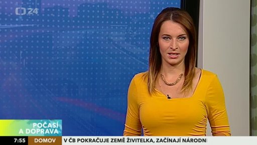 Zpravodajský servis