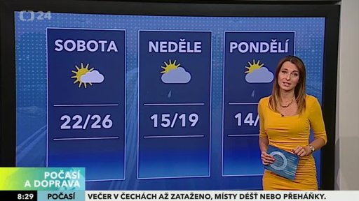 Zpravodajský servis