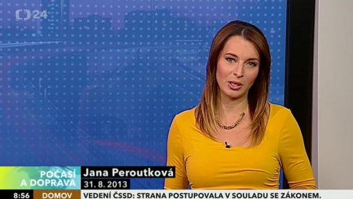 Zpravodajský servis