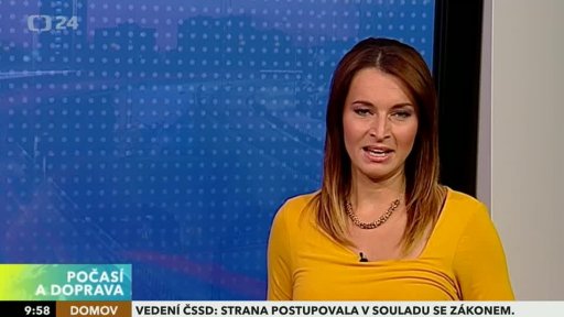 Zpravodajský servis