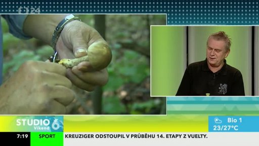 Sezóna hub v plném proudu