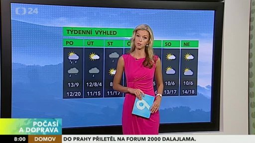 Zpravodajský servis