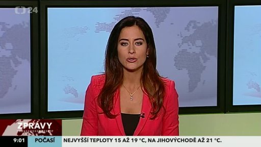 Zpravodajský servis